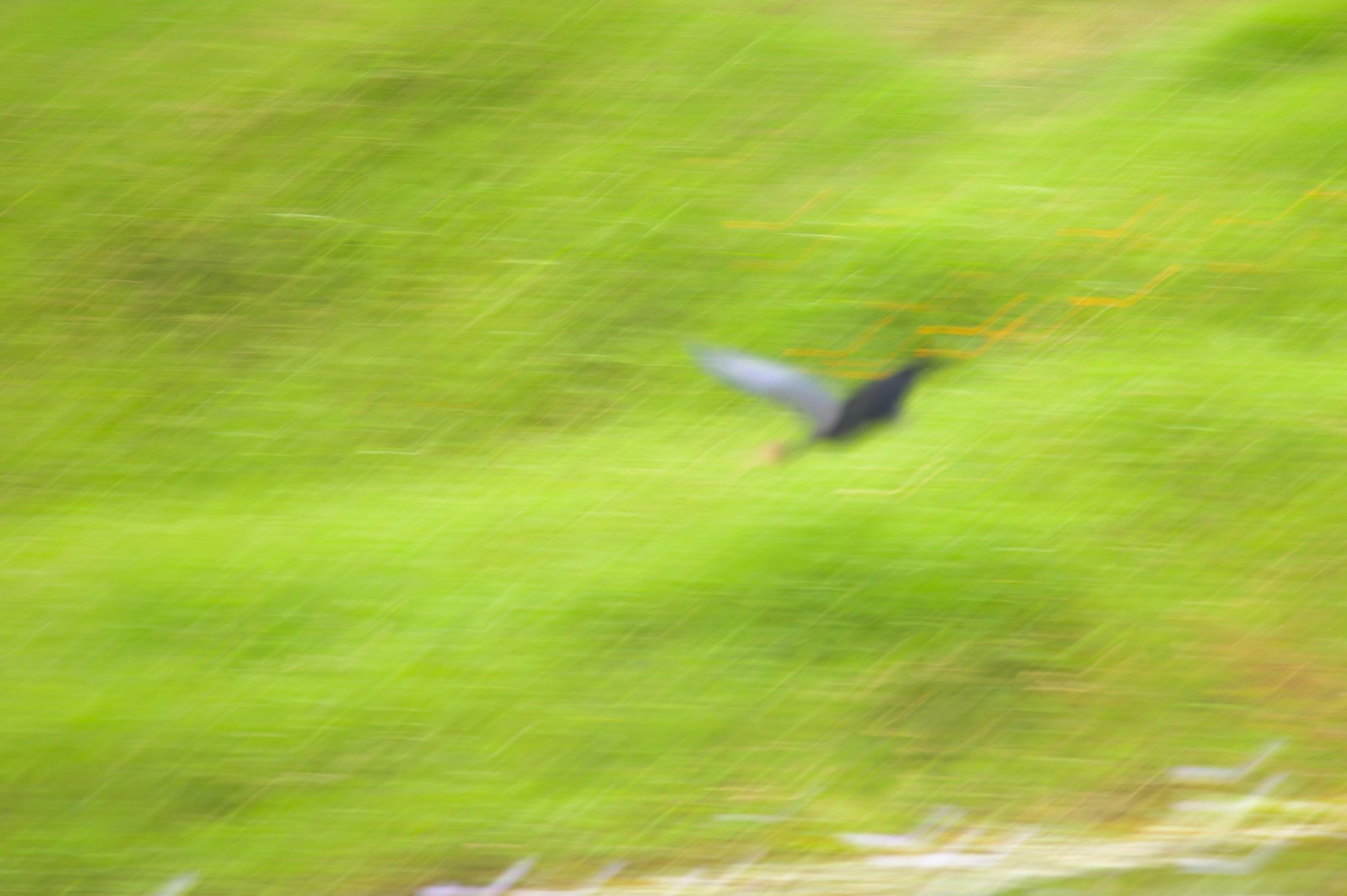 Artísticas / Estéticas – Imágenes con intención plástica, luz especial o composición creativa.